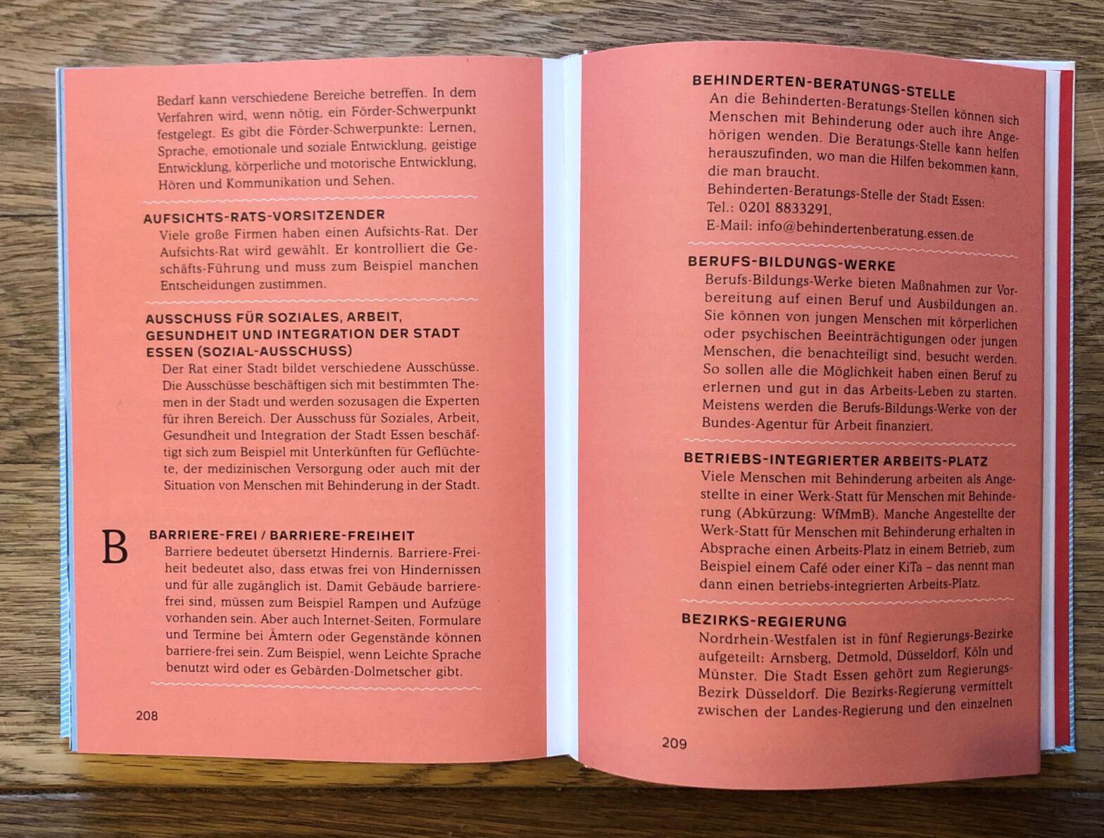 Aufegschlagenes Buch, Text zum Thema Barriere-Freiheit
